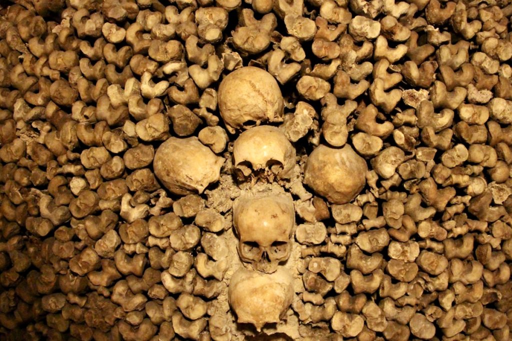 Skulls embedded in a wall of bones.