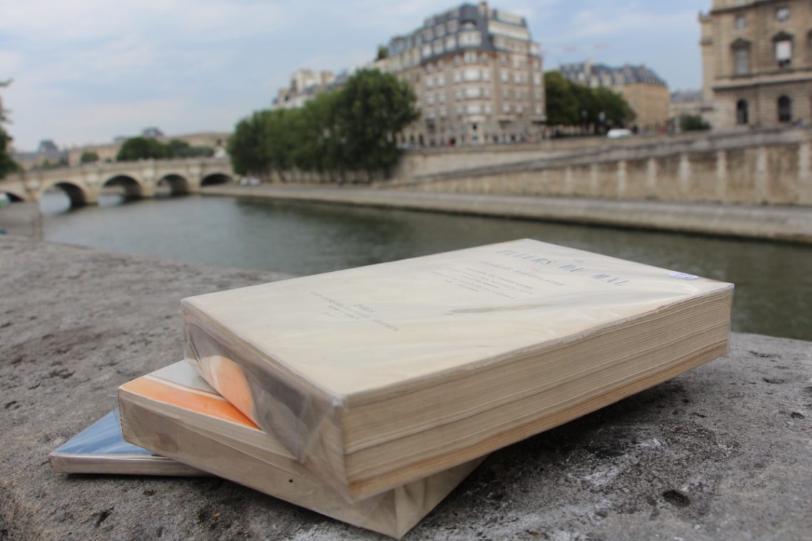 Three stacked books with the Seine river in the background.
