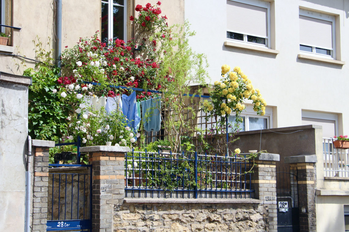 A sunny balcony of a French home teeming with red, white, and yellow roses. Clothes are drying on a rack in the sun.