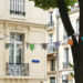 Colorful banners strung through a tree in front of beige buildings in Reims, France.