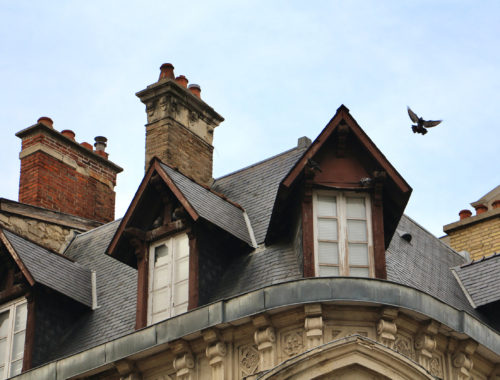 A bird flies away from the roof of a building in Reims, France.