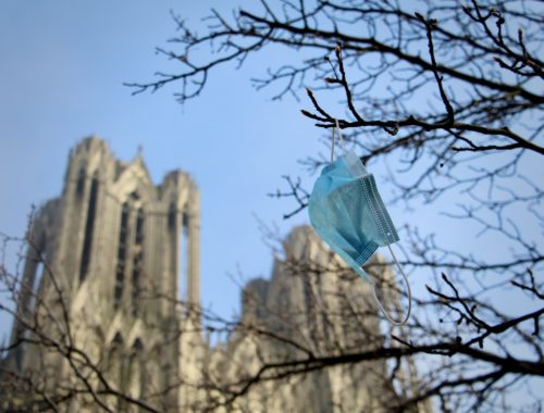 A blue surgical mask hangs from a tree branch in front of the Cathédrale de Reims.
