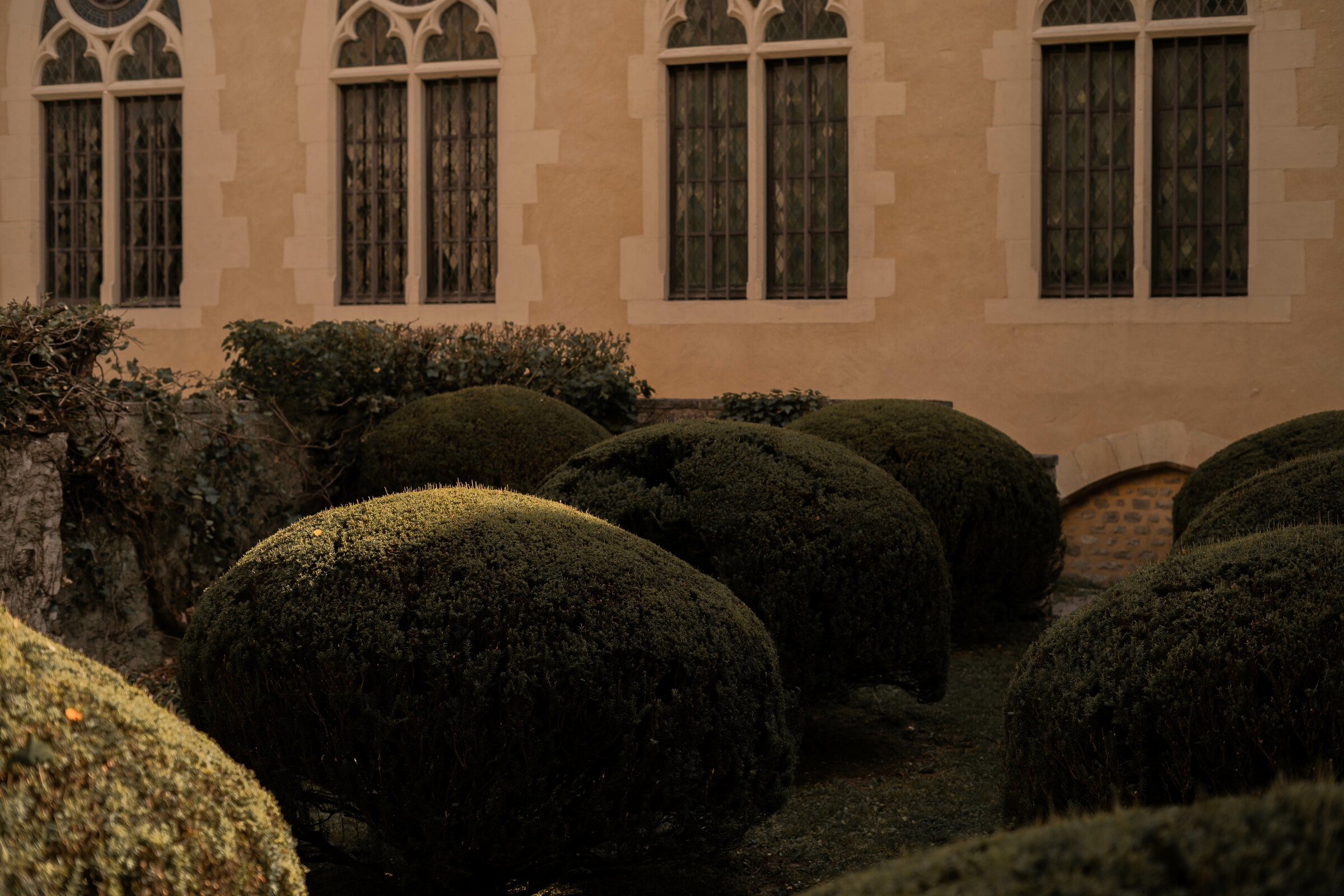 Greenery in the Jardin du Musée Le Vergeur.