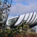 A view of the amphitheaters on URCA's campus through some foliage.