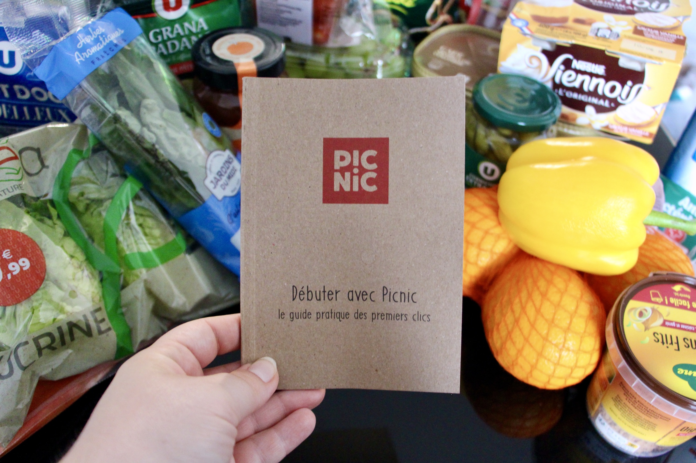 Picnic booklet surrounded by grocery items.